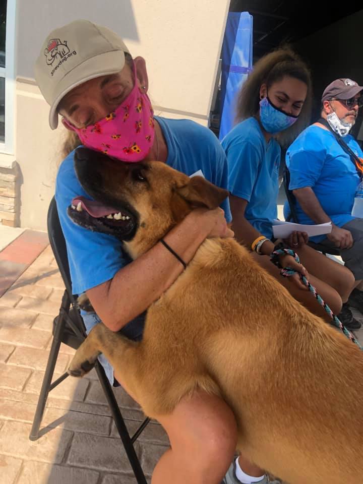 Rocky, an adoptable Shepherd in Gun Barrel City, TX, 75147 | Photo Image 3