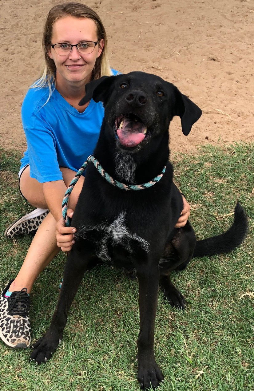 Louis, an adoptable Labrador Retriever, Catahoula Leopard Dog in Gun Barrel City, TX, 75147 | Photo Image 3