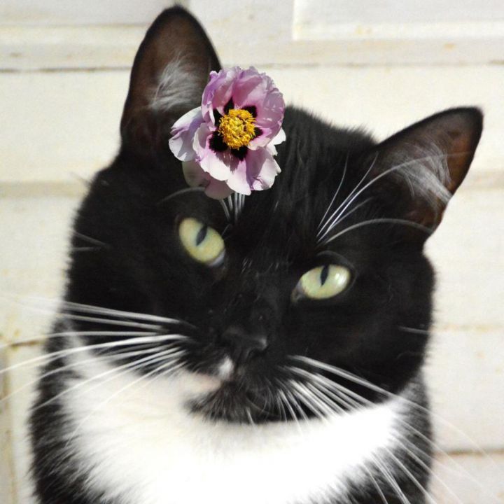 Frannie 6