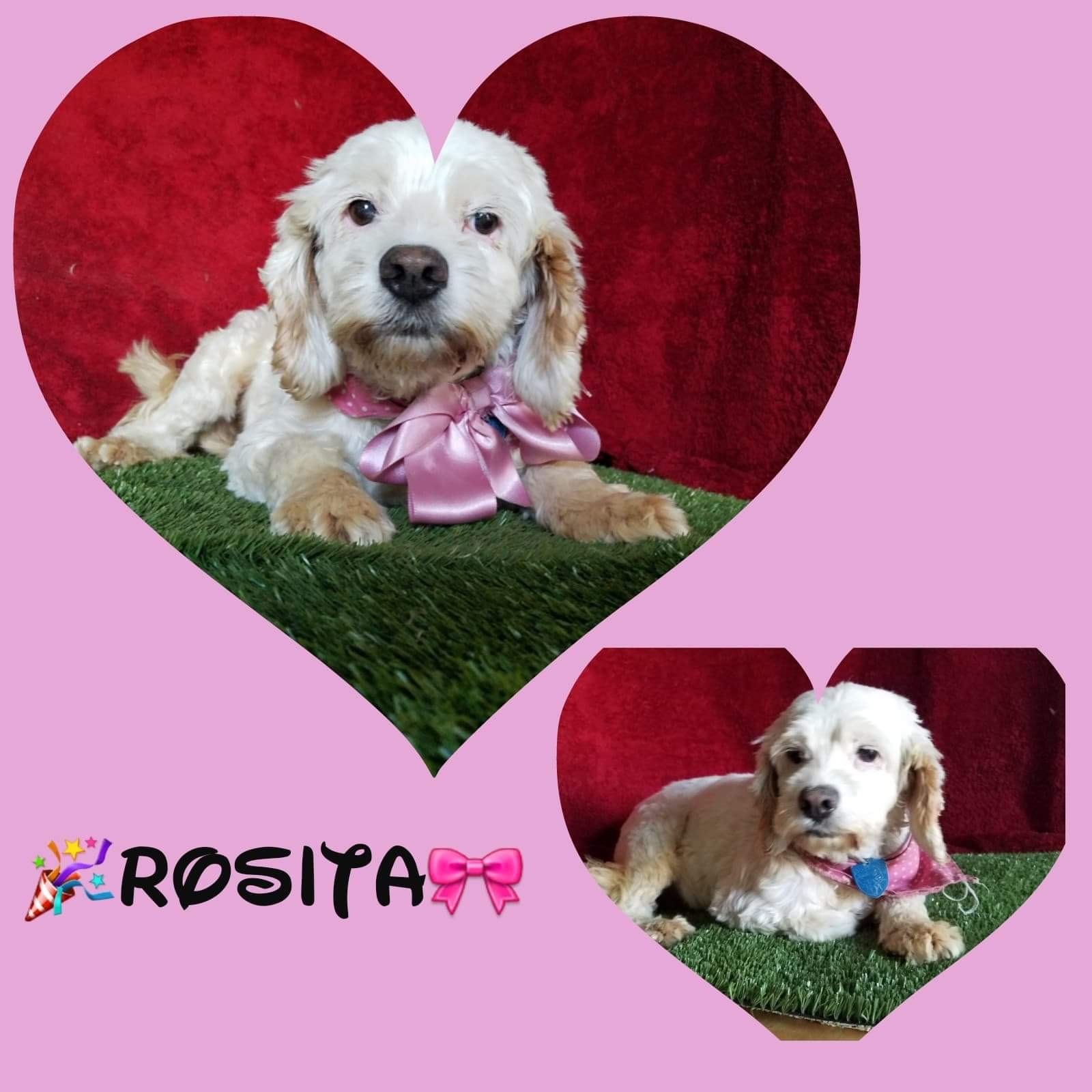 Rosita detail page