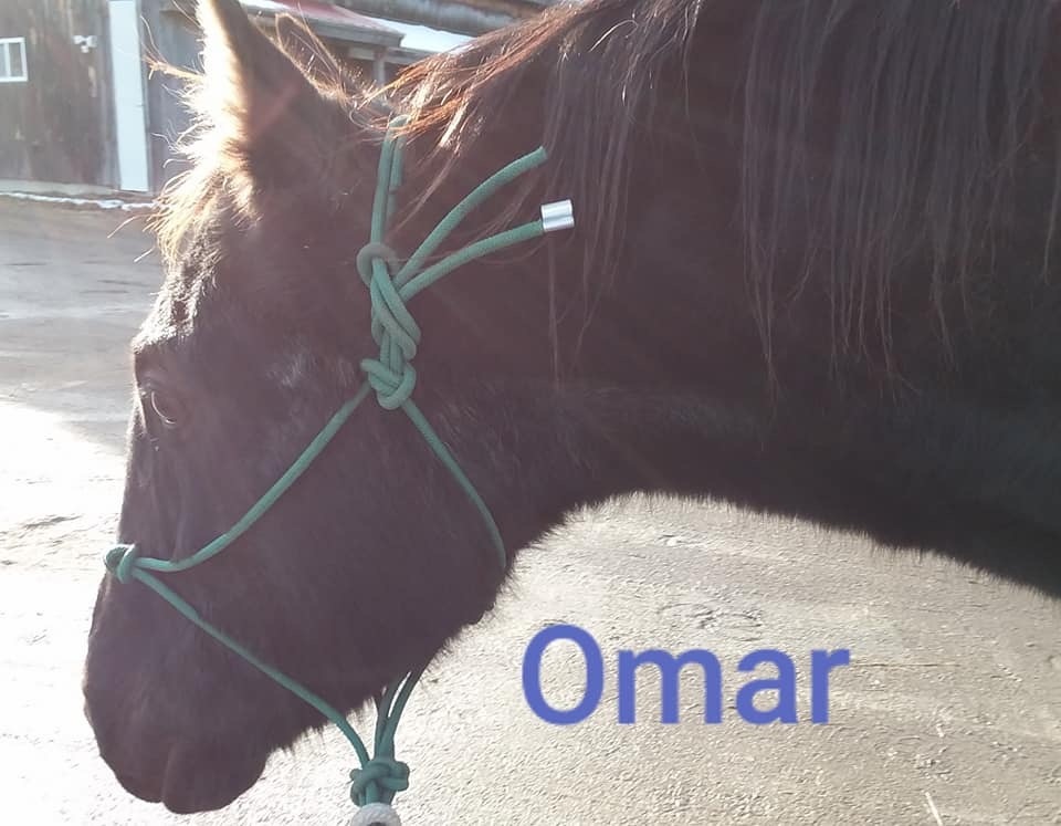 Omar detail page