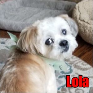 Lola