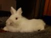 Puff photo 3
