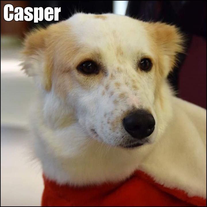 Casper 2