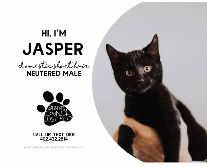 Jasper 1