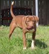 Willie Guyton photo 1