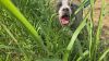 Monty photo 2