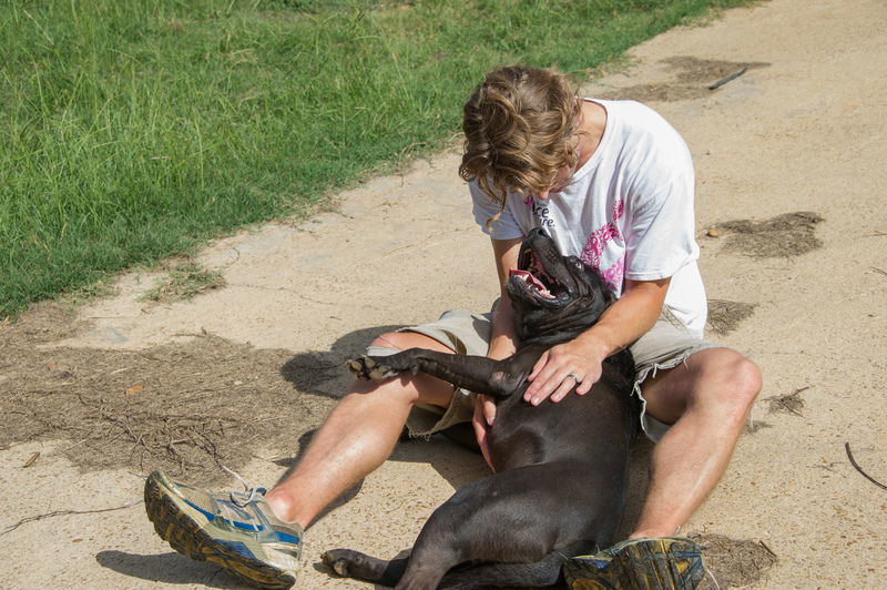 Bobby Brown, an adoptable Pit Bull Terrier in Jackson, MS, 39213 | Photo Image 2