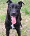 Roxie photo 1