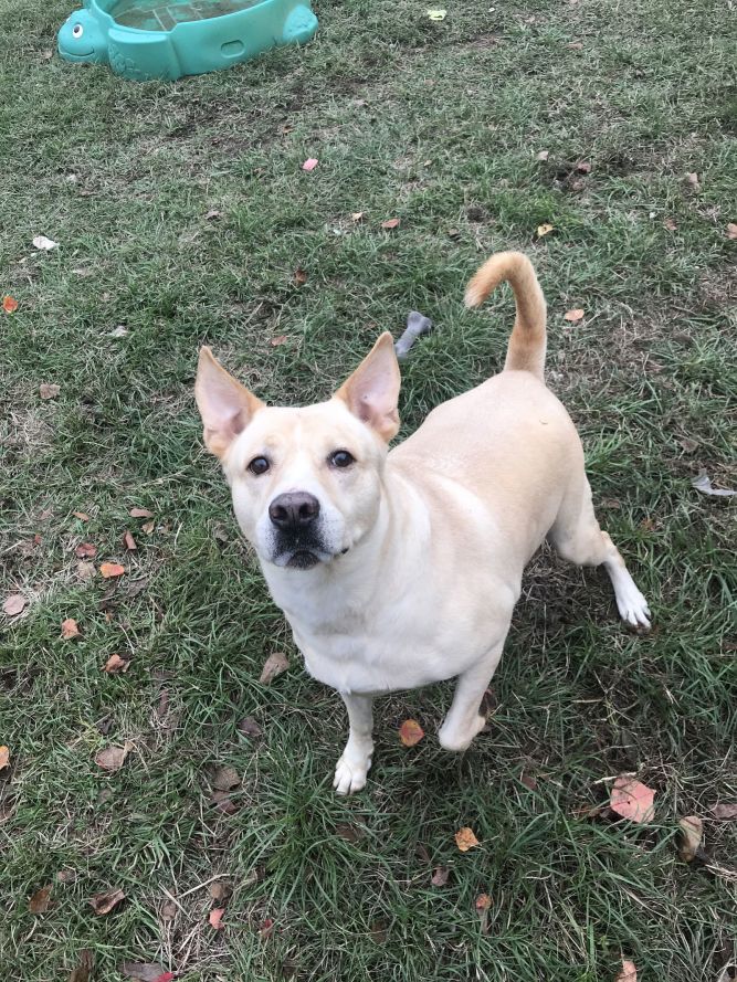 Max