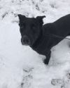 Shelly photo 3