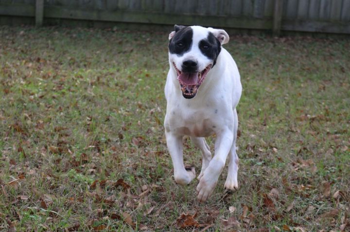 Smudge 2