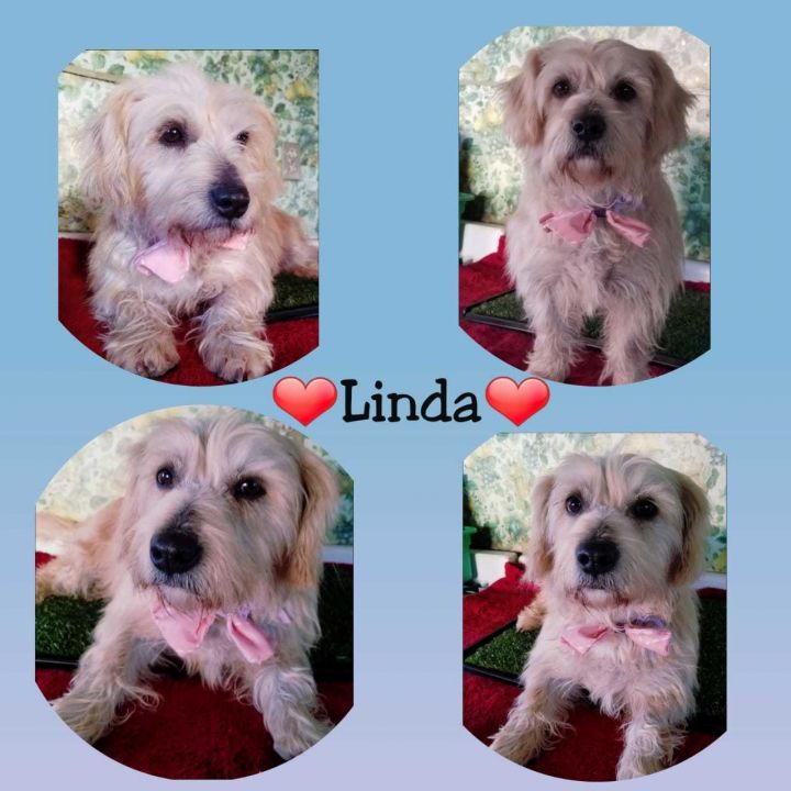 Linda 2