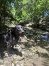 Rosita photo 1