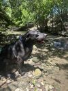 Rosita photo 2