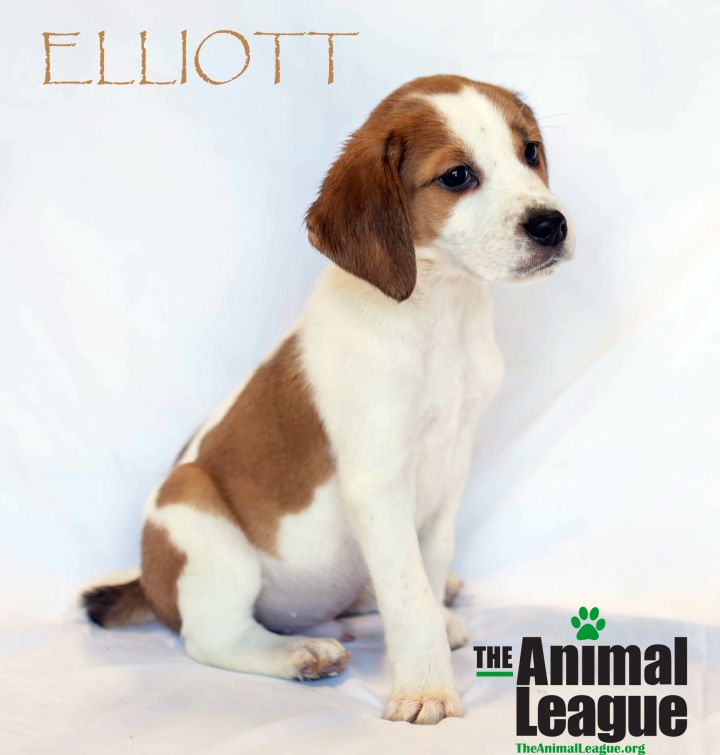 Elliott 2
