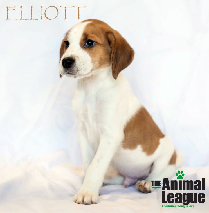 Elliott 3