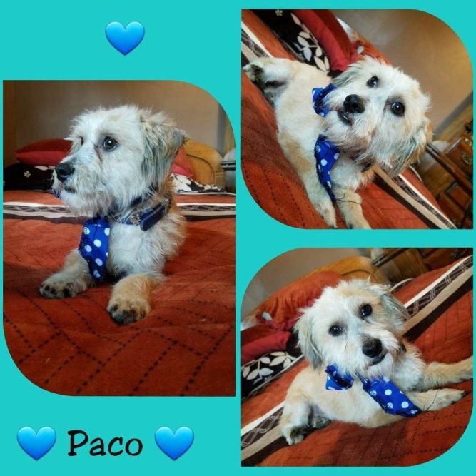 Paco2
