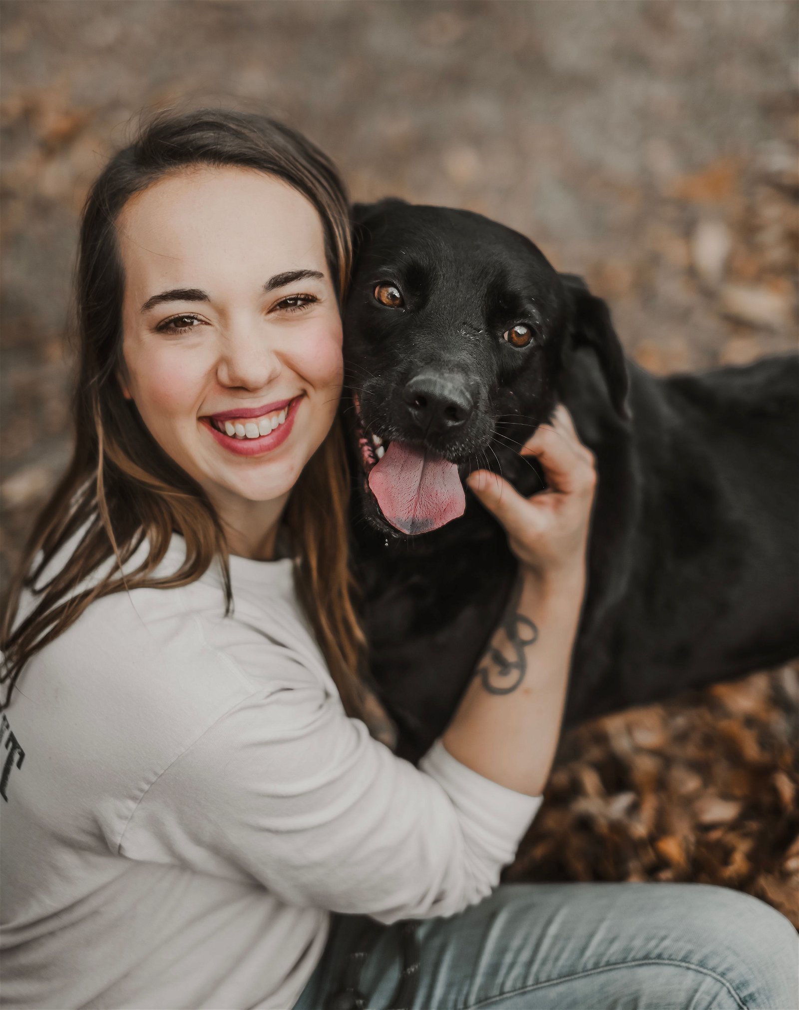 Brody, an adoptable Labrador Retriever in Sparta, TN, 38583 | Photo Image 2