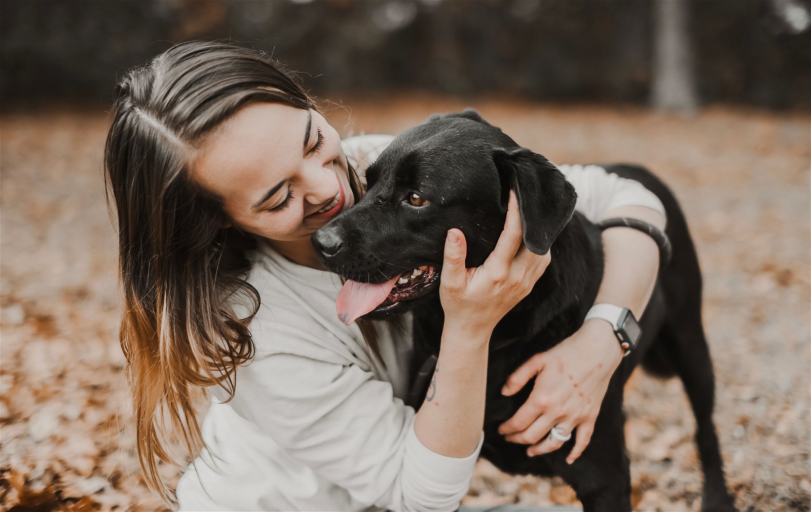 Brody, an adoptable Labrador Retriever in Sparta, TN, 38583 | Photo Image 3