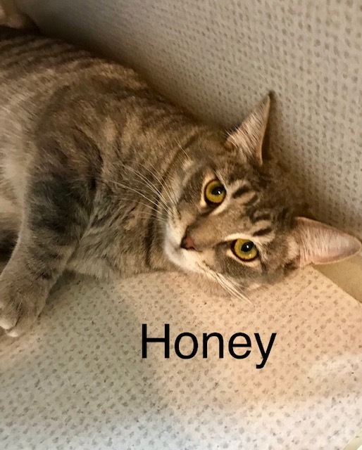 Honey detail page