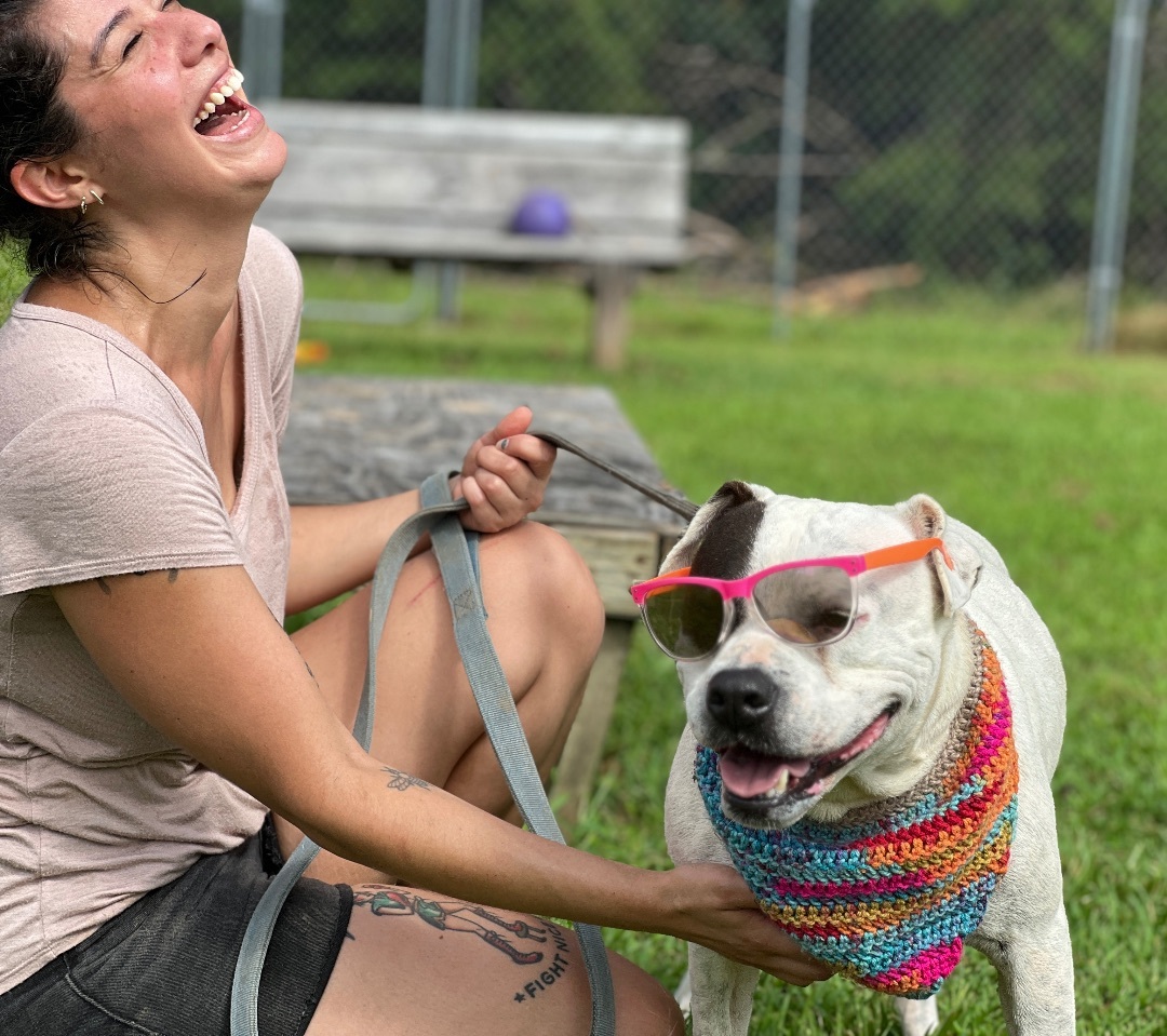 Riley, an adoptable Boxer, American Staffordshire Terrier in Palmyra, VA, 22963 | Photo Image 3