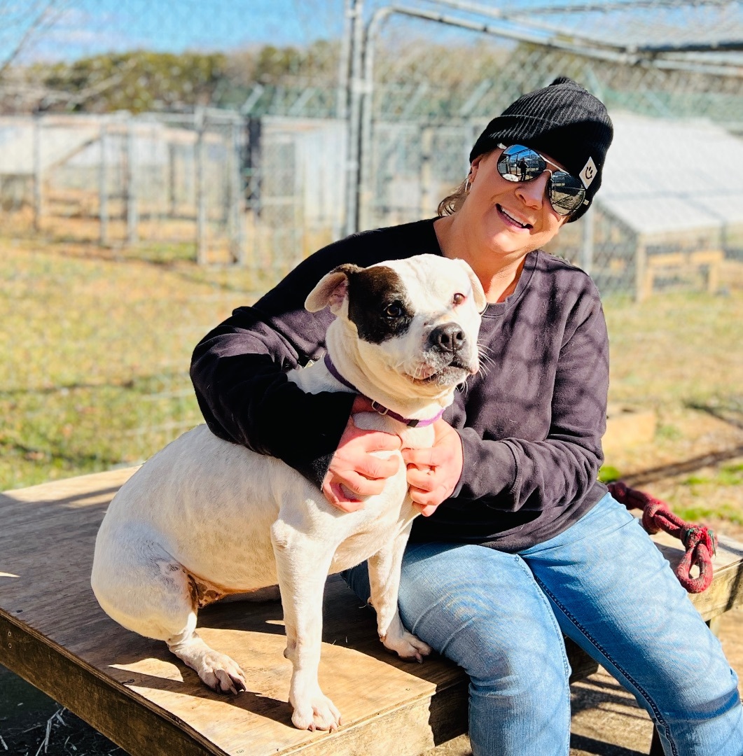 Riley, an adoptable Boxer, American Staffordshire Terrier in Palmyra, VA, 22963 | Photo Image 6