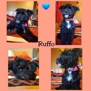 Ruffo detail page
