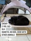 Chewy photo 2