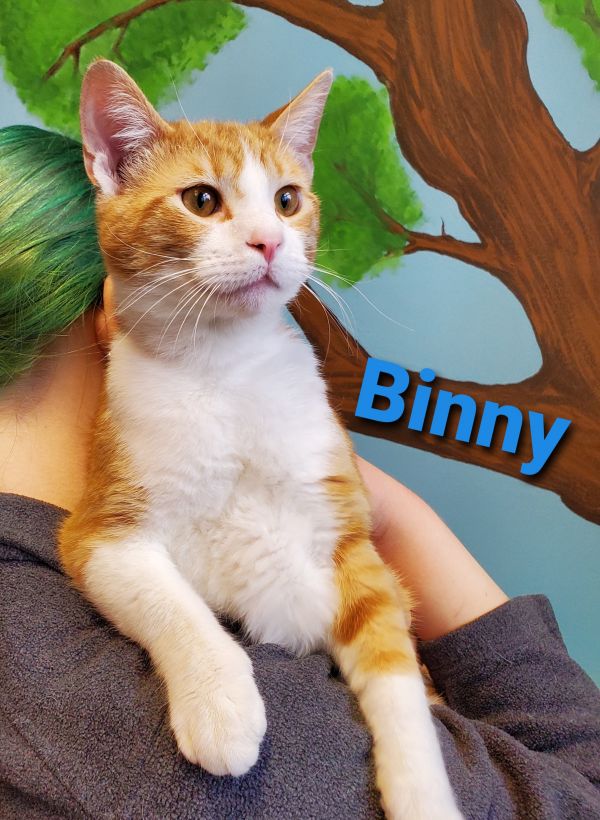 Binny