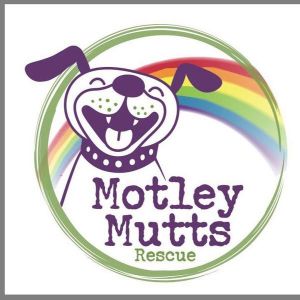 Volunteers Needed In NH
