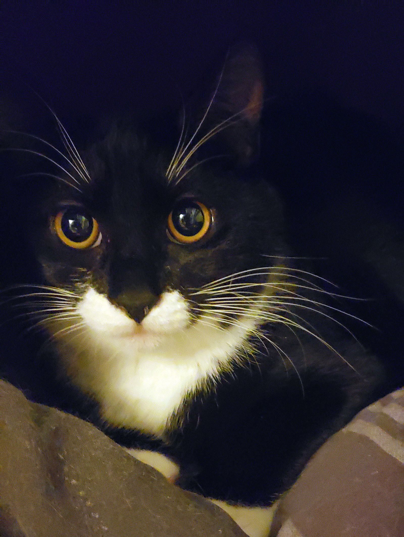 Micha