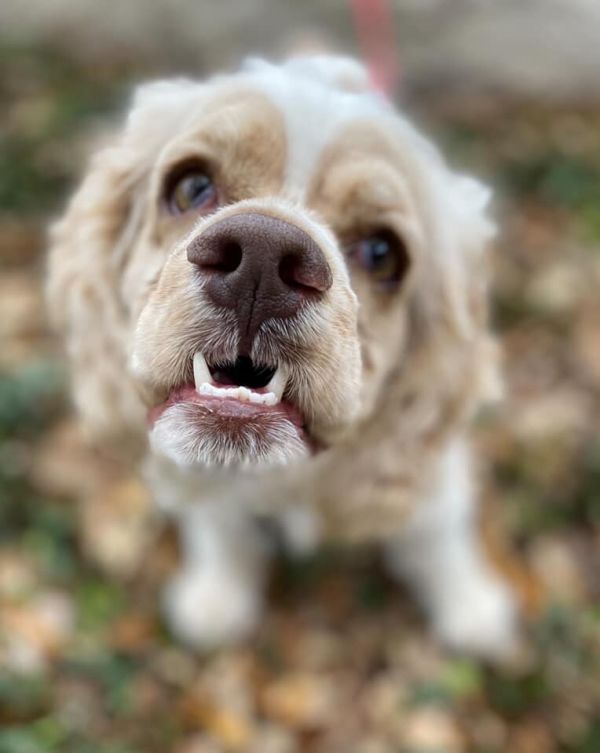Charlie