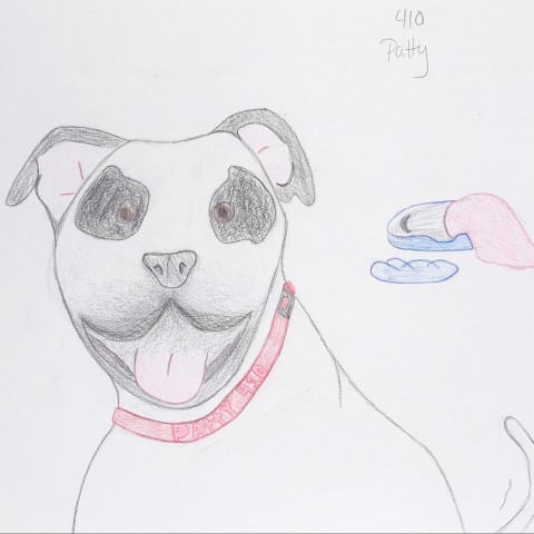 Patty, an adoptable Pit Bull Terrier, English Bulldog in Kanab, UT, 84741 | Photo Image 5
