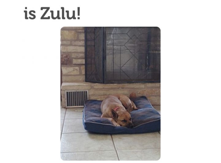 Zulu 2