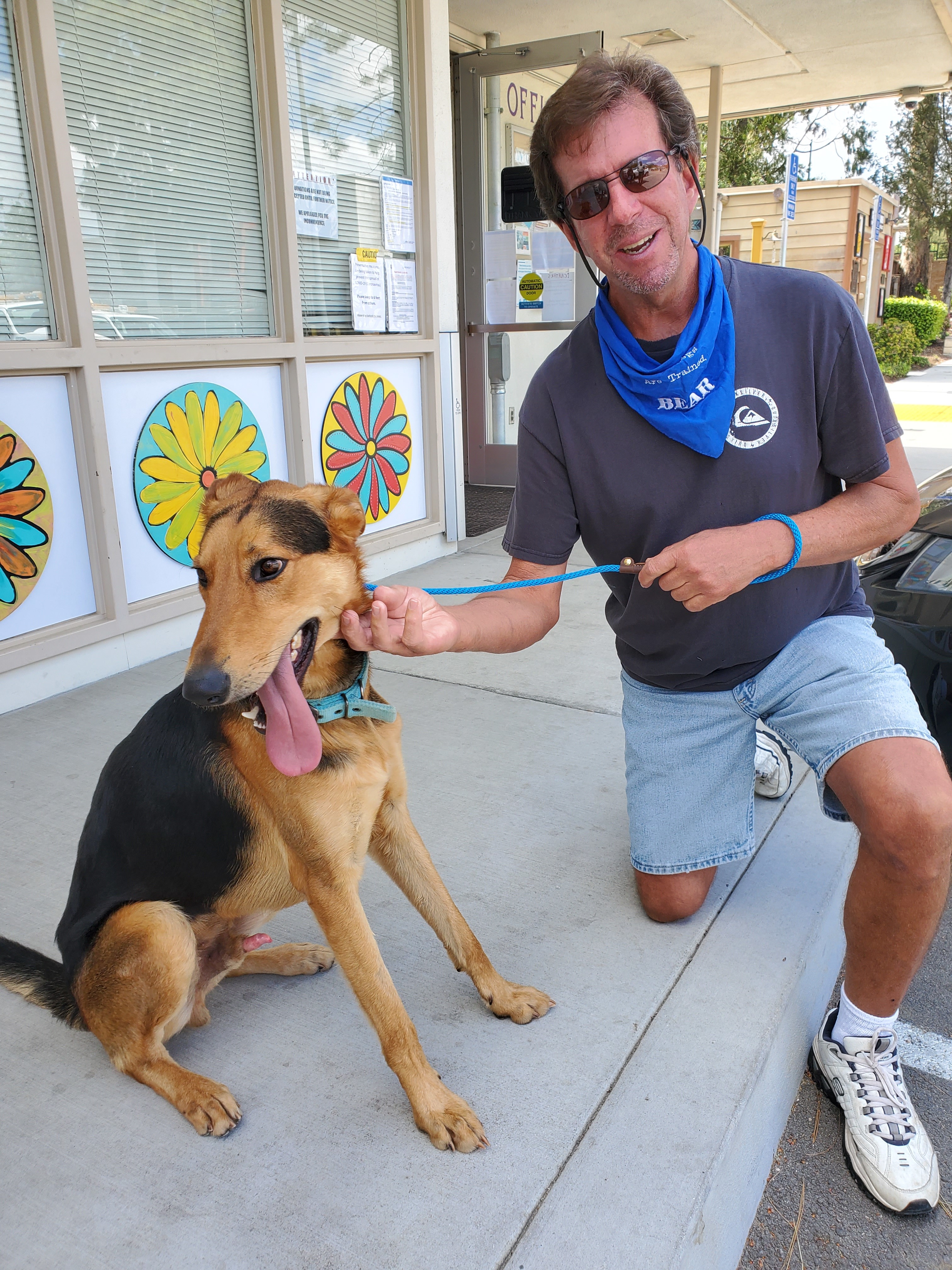 Alvin, an adoptable German Shepherd Dog, Collie in North Hills, CA, 91343 | Photo Image 2