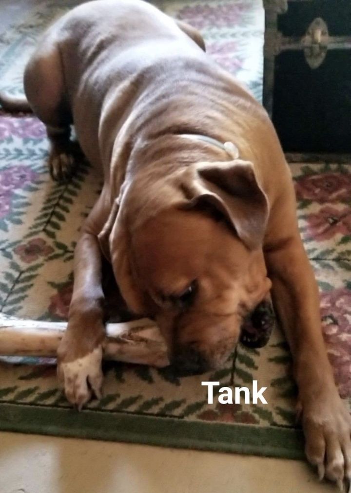 Tank 1