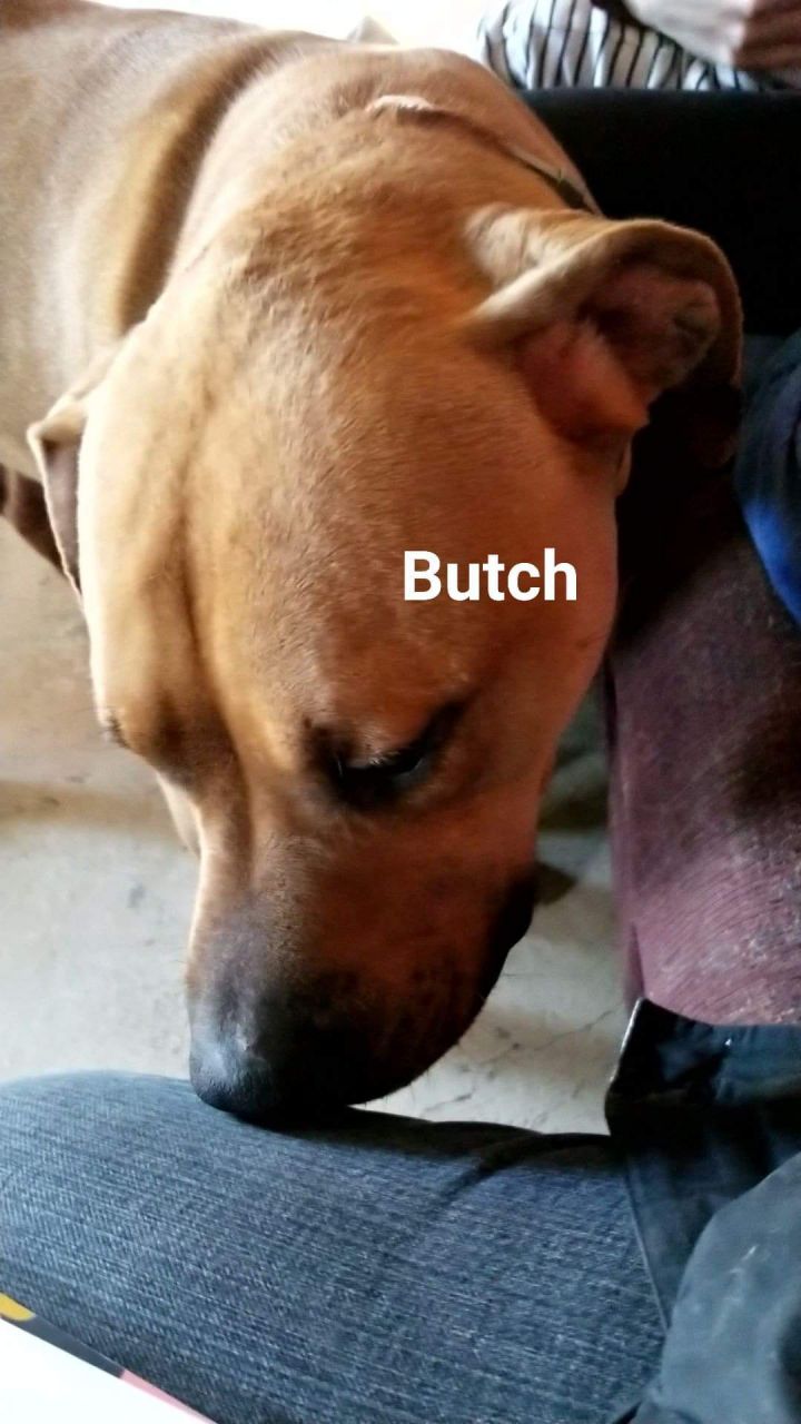 Butch 2