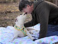 Bangles, an adoptable Hound in Fairfax, VA, 22030 | Photo Image 2