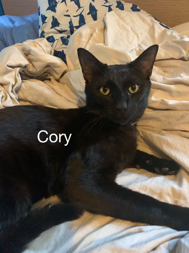 Cory 1