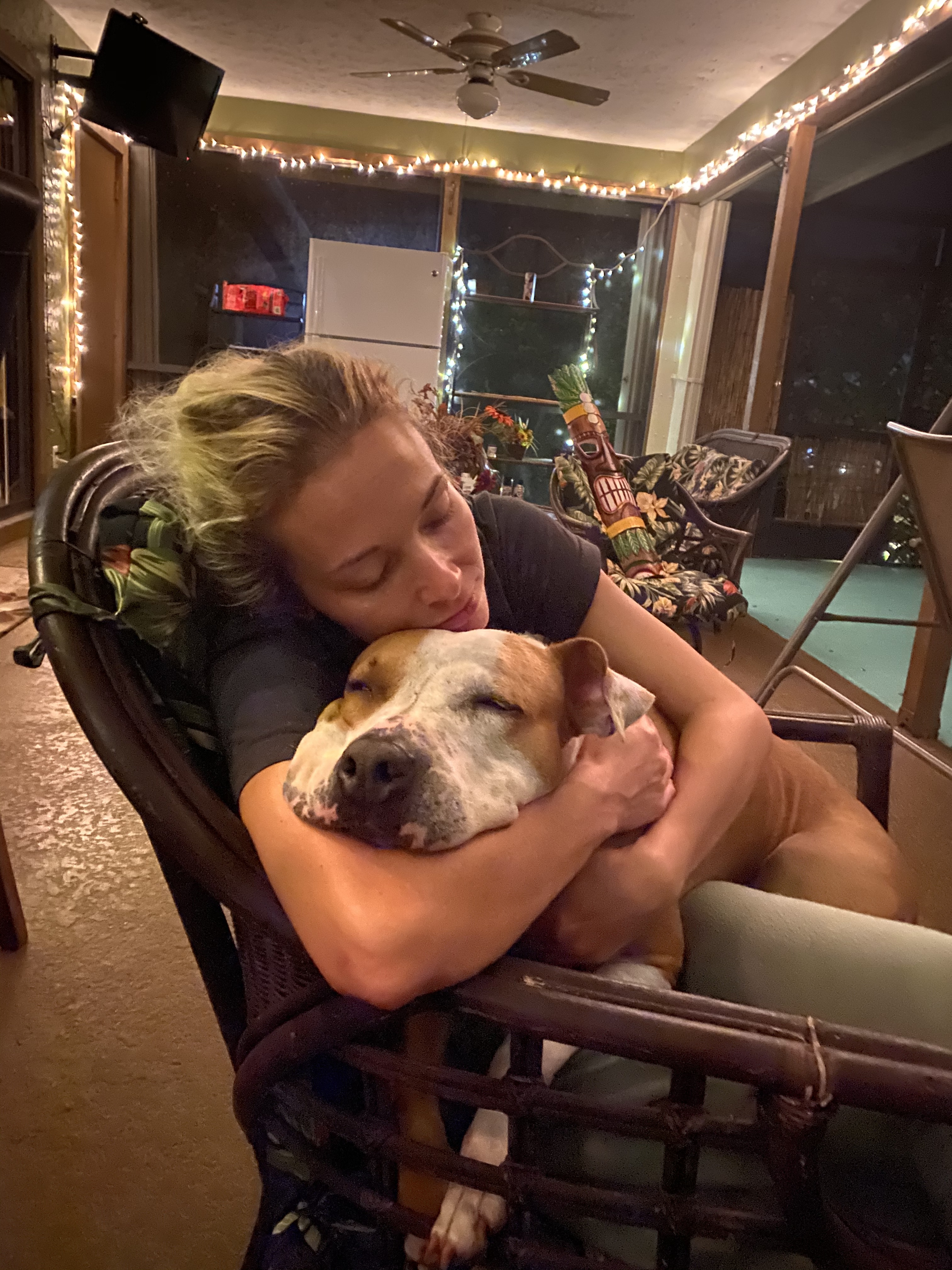 Ariel, an adoptable American Bulldog in Port Saint Lucie, FL, 34953 | Photo Image 1
