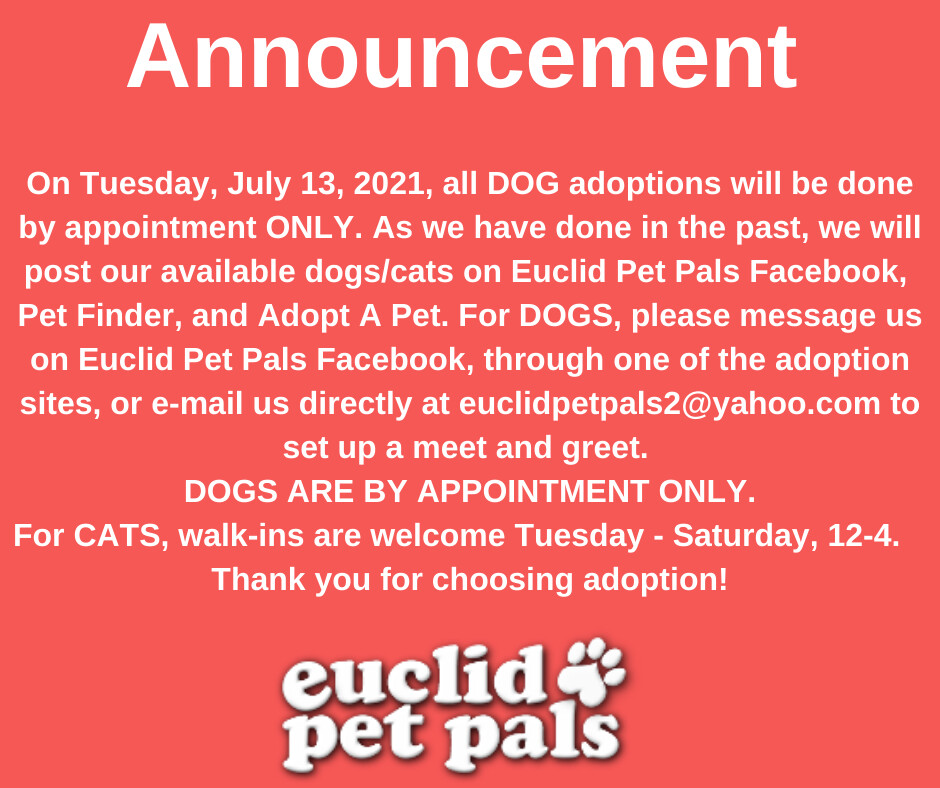 NOTICE - SHELTER INFO!, an adoptable Mixed Breed in Euclid, OH, 44132 | Photo Image 1