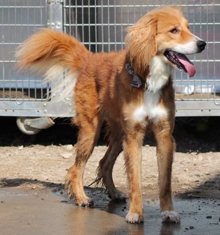 Brinkley 3