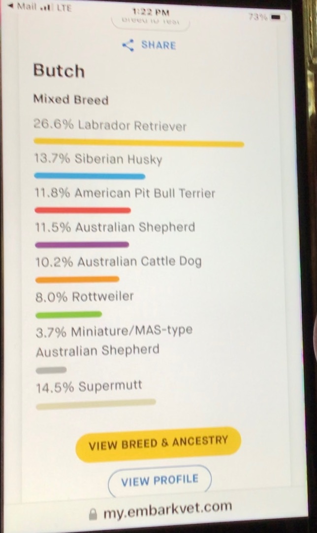 Butch- DNA Results Posted