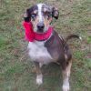 Shirley photo 1