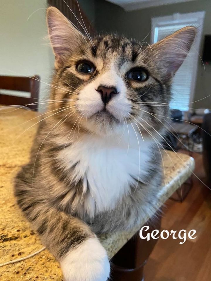 George 5