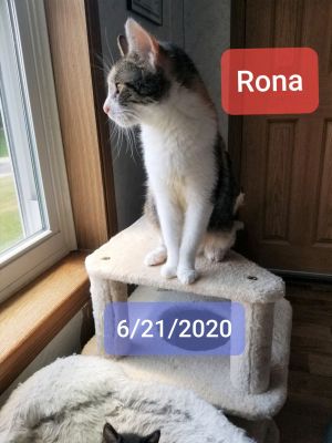 Rona (Lori's foster)