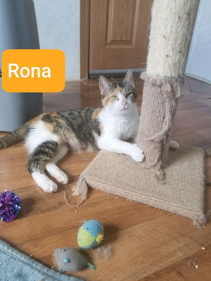 Rona (Lori's foster) 4