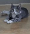 Greta photo 2