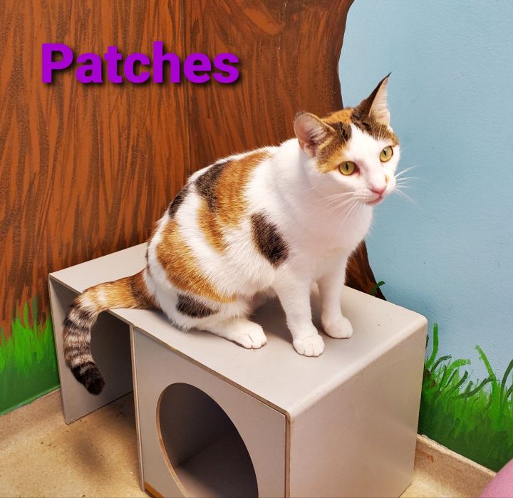 Patches 2